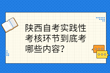 陕西自考实践性考核内容